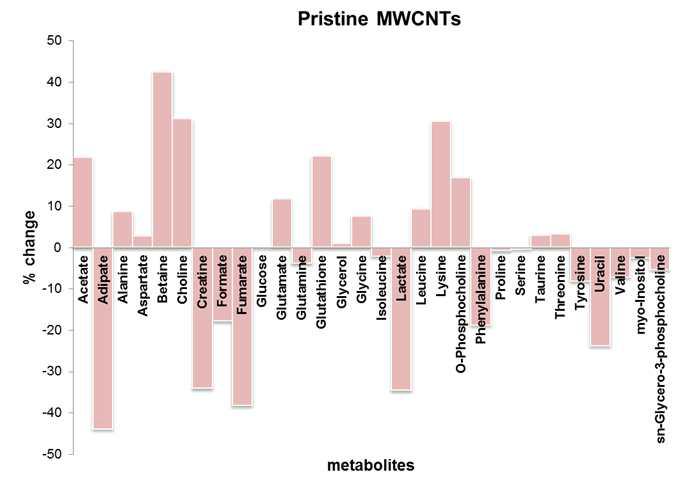 Pristine-MWCNTs에 의한 마우스 폐조직에서 대사체 변화율 분석