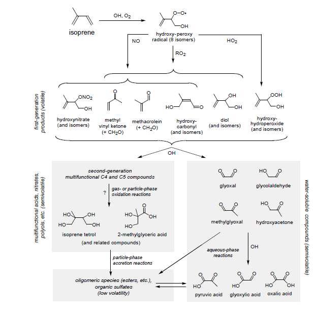 Isoprene이 산화되며 2차 유기에어로졸(SOA)로 변환되는 과정