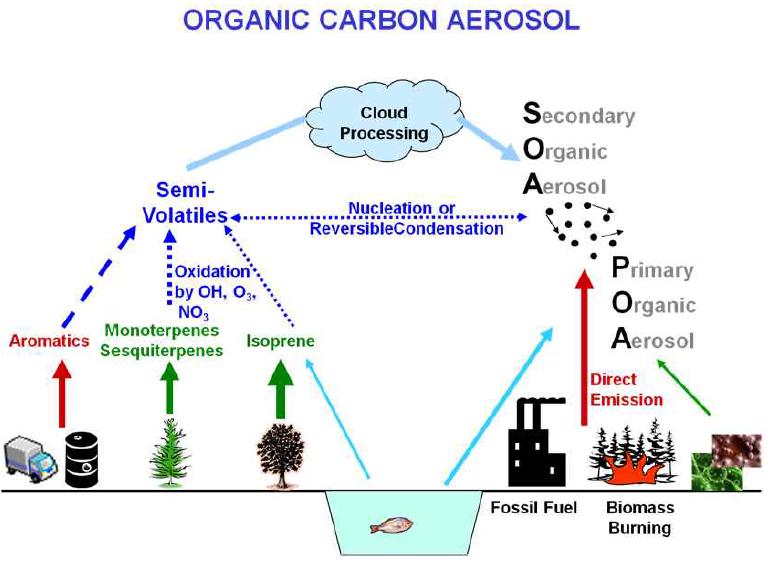 SOA 생성과 변환 과정에 대한 모식도(BVOCs 중요성)