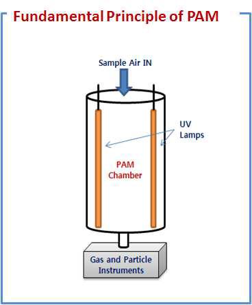 PAM chamber 모식도