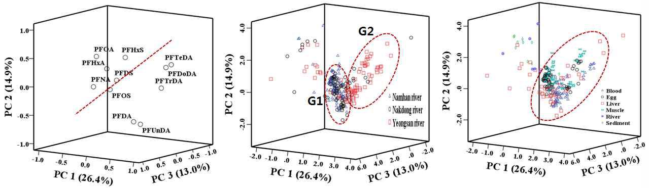 PCA plot of PFASs by river and sample type.