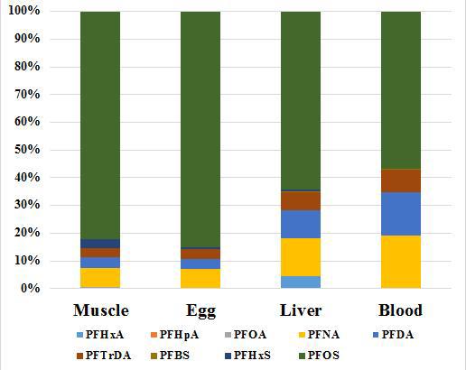 Distribution of BCF for PFASs in crucian carp; Scenario 1.