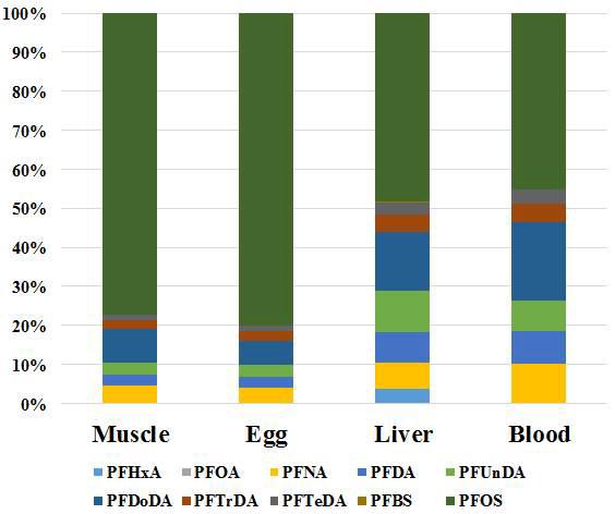 Distribution of BSAF for PFASs in crucian carp; Scenario 1.