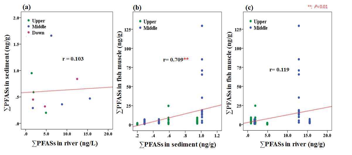 Correlation between sample species of ∑PFASs concentration