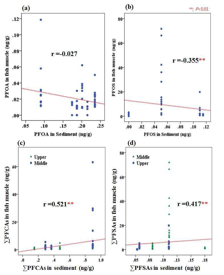 Correlation between sediment concentration and fish muscle of PFASs concentration