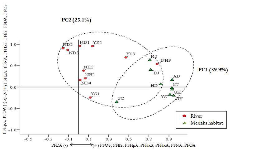 Loading plot of principal component analysis for detected PFASs in water from river and medaka habitat.