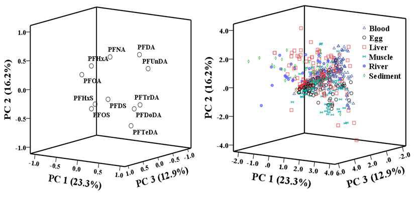 PCA plot of PFASs by sample type.