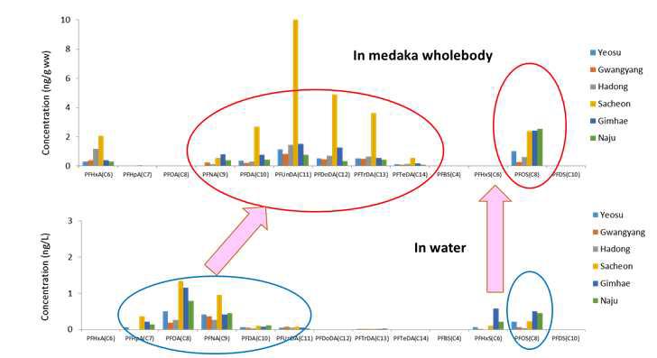 Comparing concentration of PFASs in water and biota