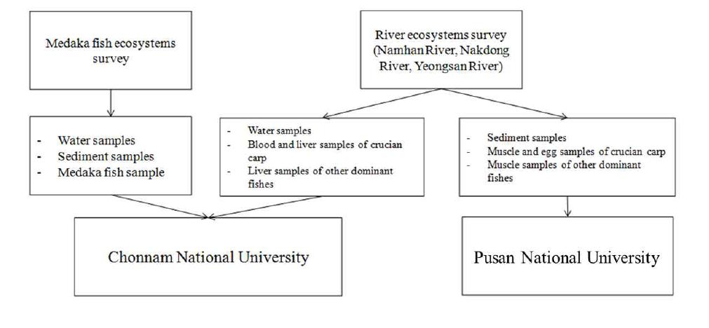 Sample collection and analysis scheme.