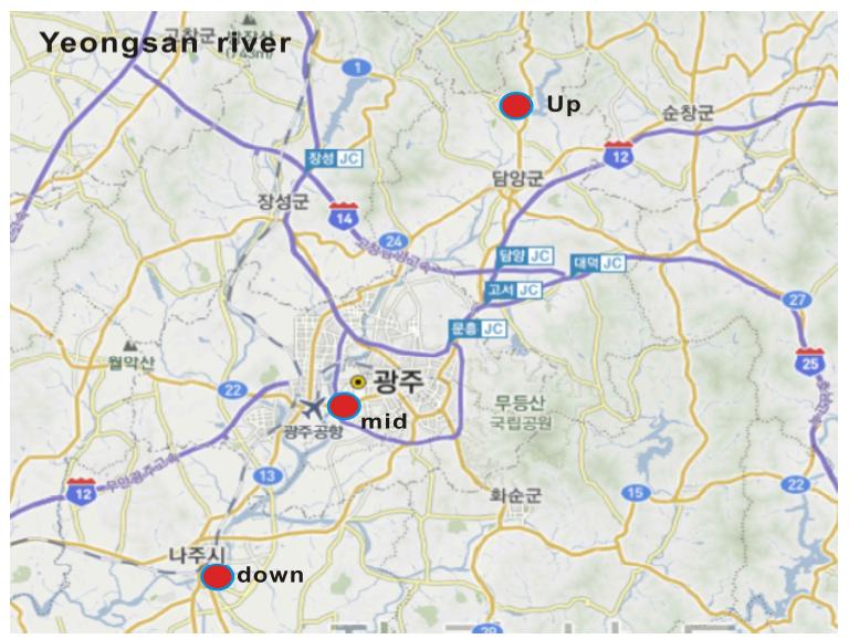 Sampling sites in Yeongsan River.