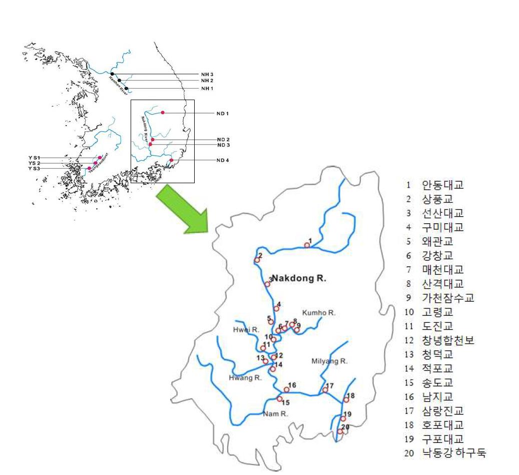 Sampling sites in Nakdong River dry and wet seasons survey.