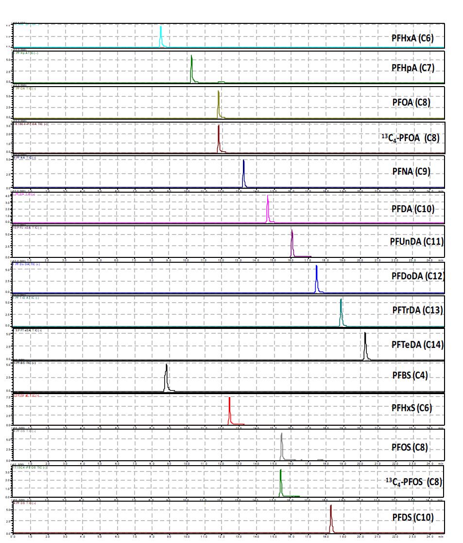 LC-MS/MS chromatogram of target PFASs standards and surrogate materials