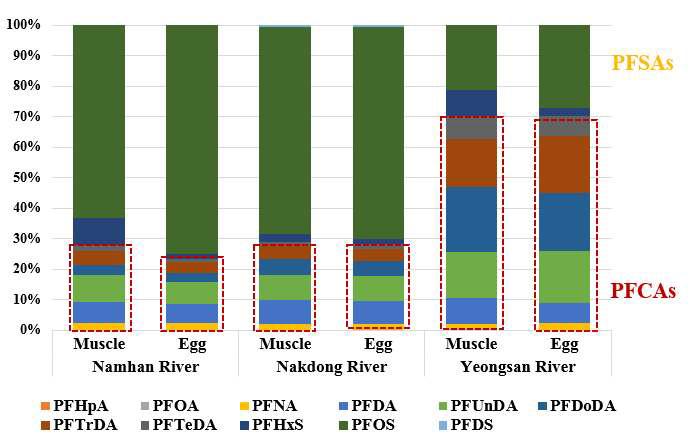 Distribution of PFASs in crucian carp muscle and egg samples.