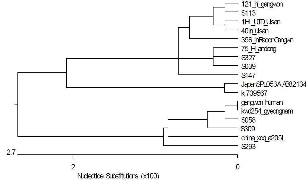 야생동물 혈액(혈청 및 전혈)에서 검출된 SFTS virus nucleocapsid 단백질 유전자 염기서열을 기초로한 계통발생학적인 관계(neighbor-hood joining)