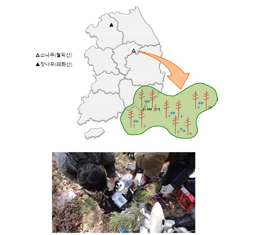 Description of duplicate sampling from Worak and Taehwa Mt