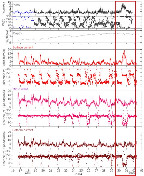 Wind characteristics and flow pattern