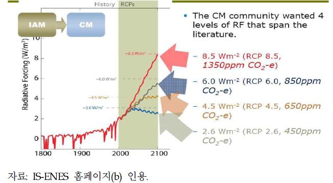 4가지의 RCP의 경로