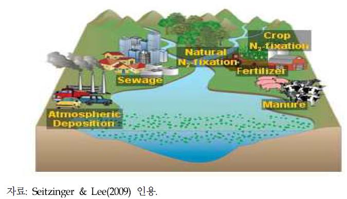 질소 배출원과 수체로의 질소 흐름도