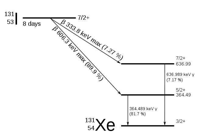 I-131 붕괴 scheme