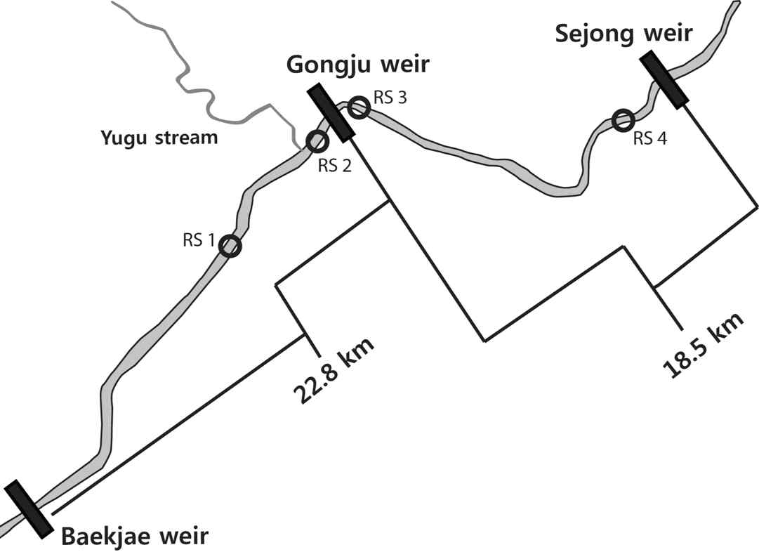 Study site of fish migration survey (RS, Release site)