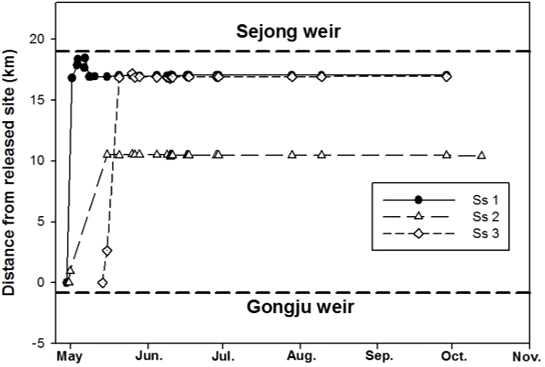 Migration patterns of S.scherzeri (Ss 1 ~ Ss 3) released at upper part of Gongju weir