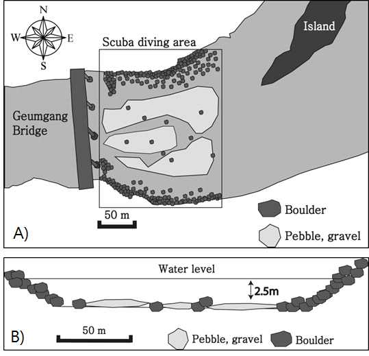 Description of spawning site of S. scherzeri, located at lower reaches of Sejong weir (A, Plan; B, Sectional view)