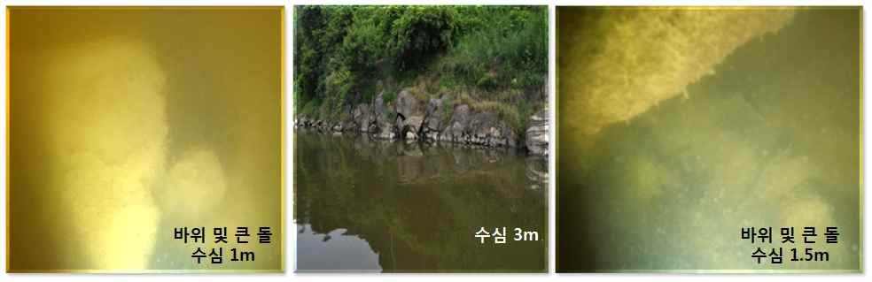 Photos of spawning site of S. scherzeri