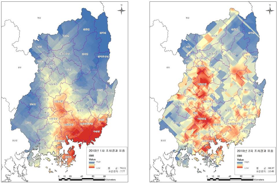 BMI Kriging 표출결과(2010)