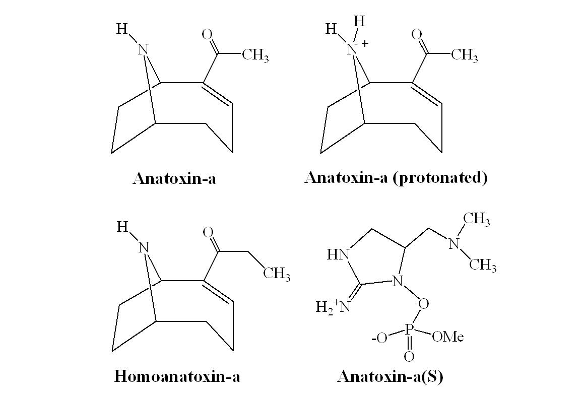 Anatoxins의 구조