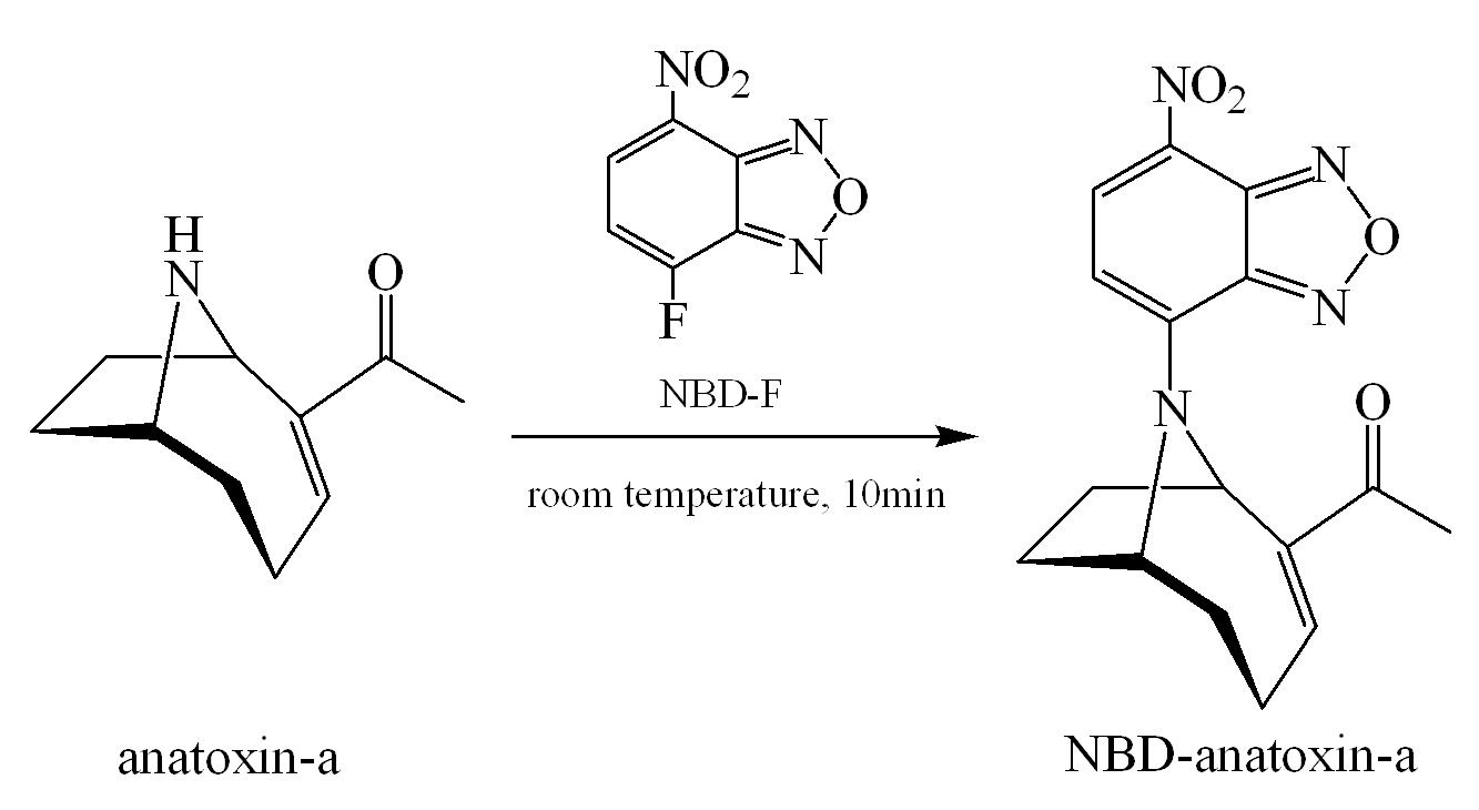 NBD-F를 사용한 Anatoxin-a의 유도체화