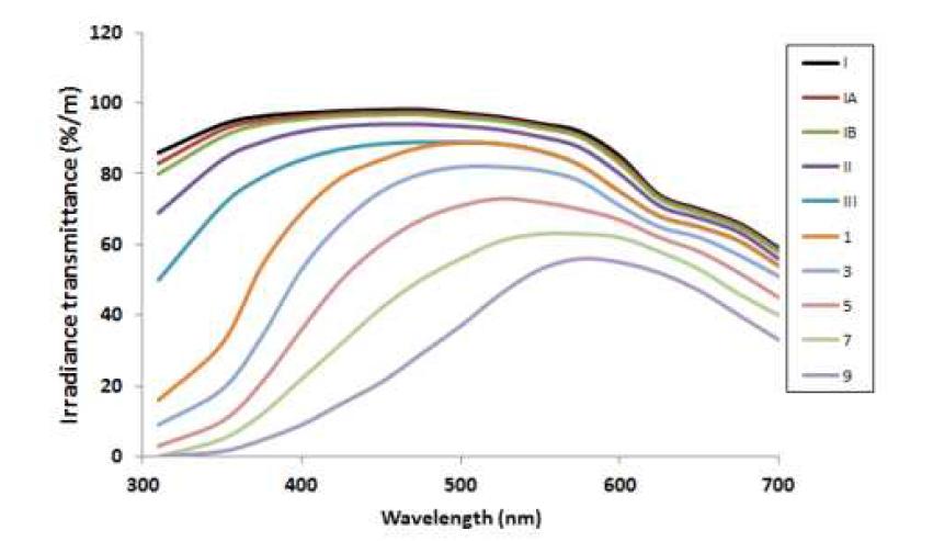 수형에 따른 빛의 투과율