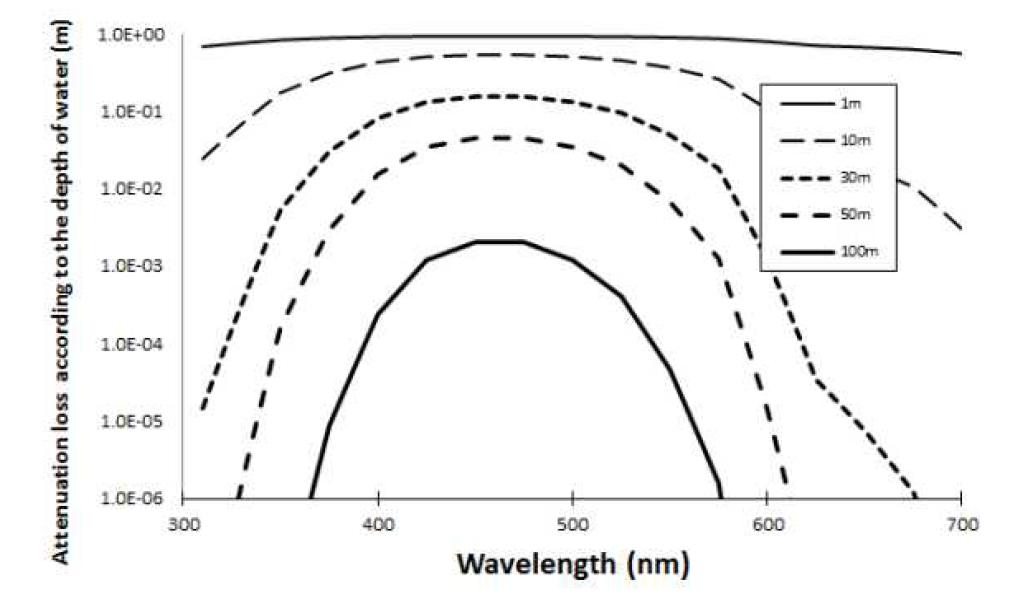 수심에 따른 광 파장별 감쇠율