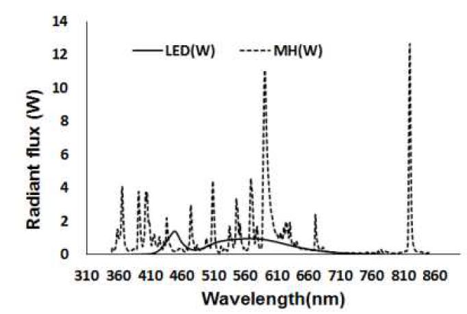 LED집어등과 메탈등의 파장분포
