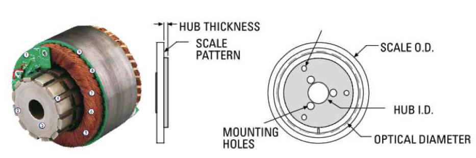 Motor and encoder.