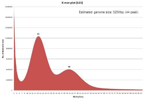 왕벚나무전체유전체NGS 서열을이용한 k-mer 분석 (k-21mer)