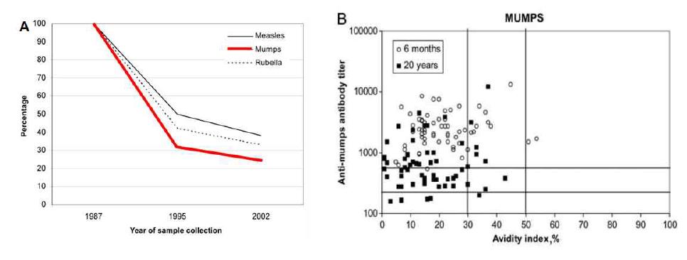 MMR 백신접종후 항체가 변화률 및 avidity 지수 변화 비교16,17