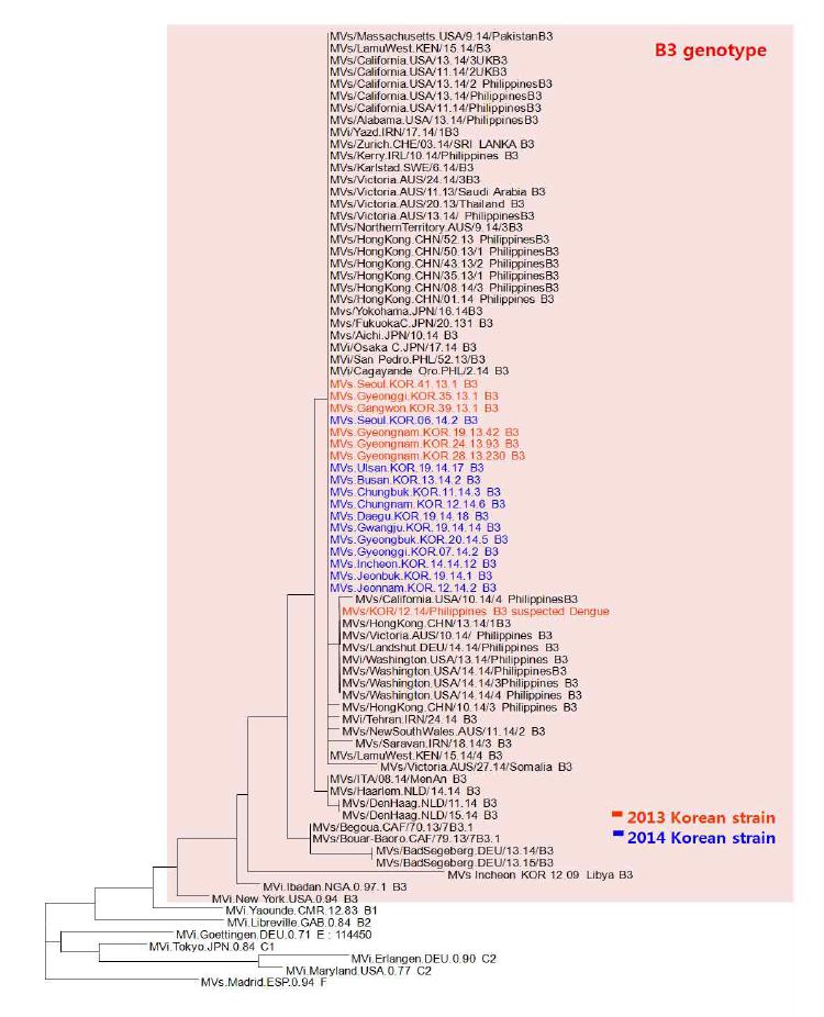 B3 유전형의 홍역 바이러스 계통학적 분석