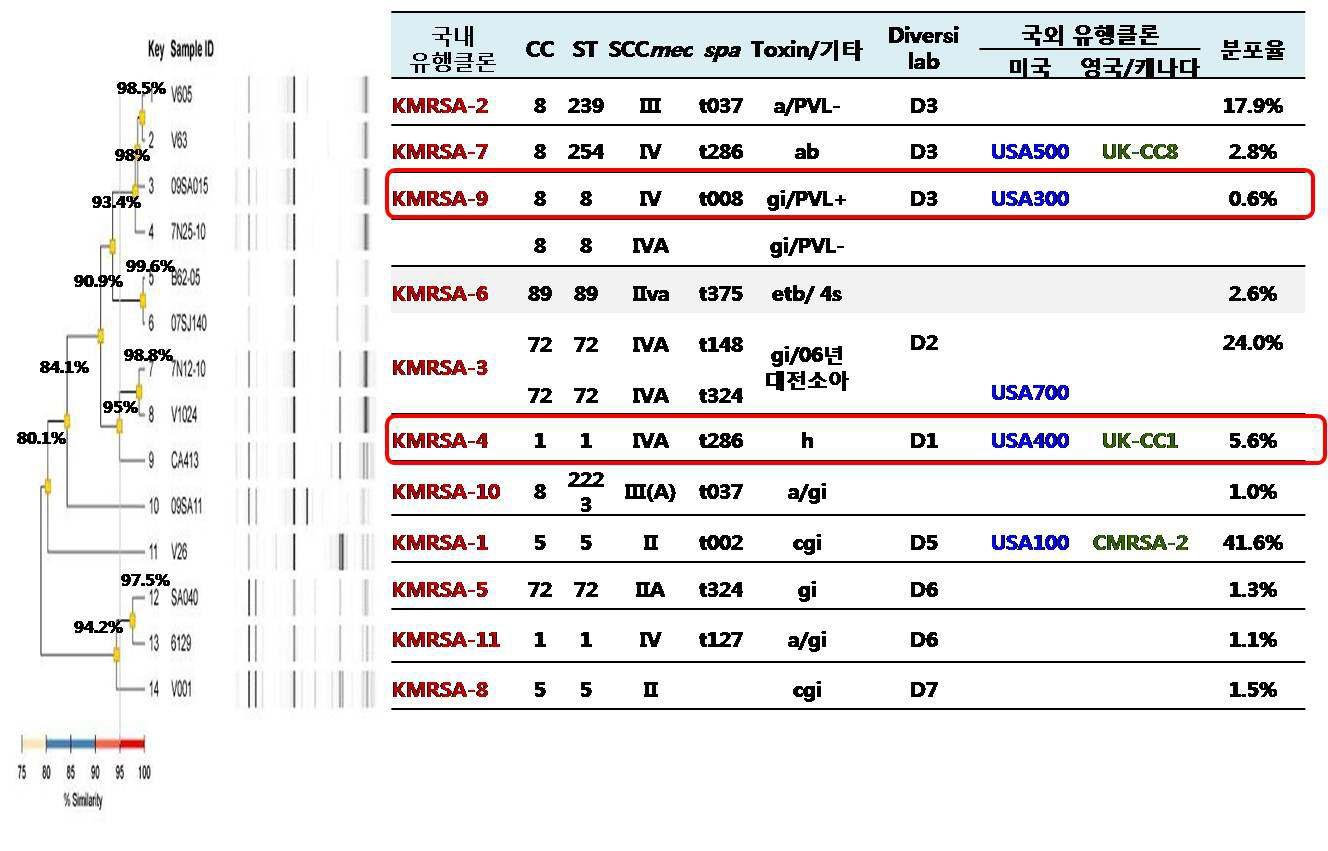 K-MRSA와 국외 MRSA 유행클론 비교