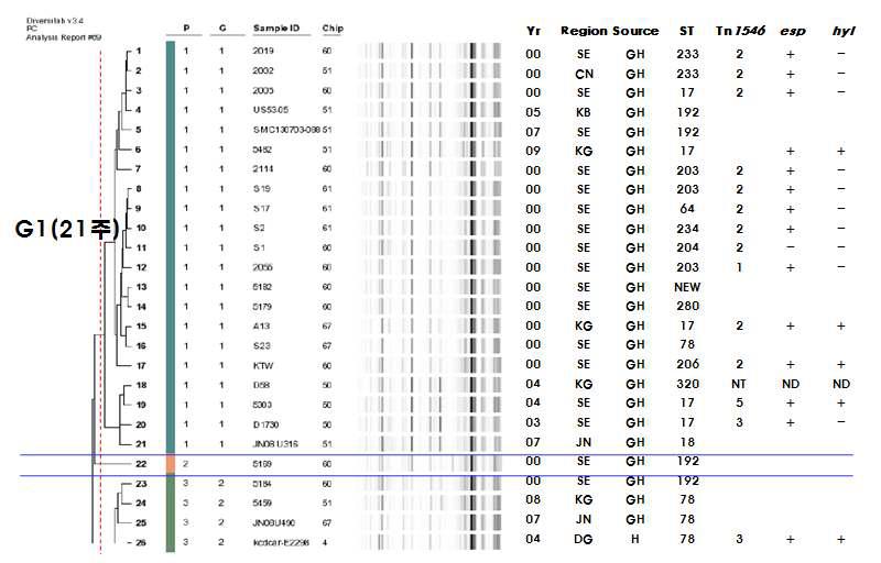 G1의 diversilab 유형분석