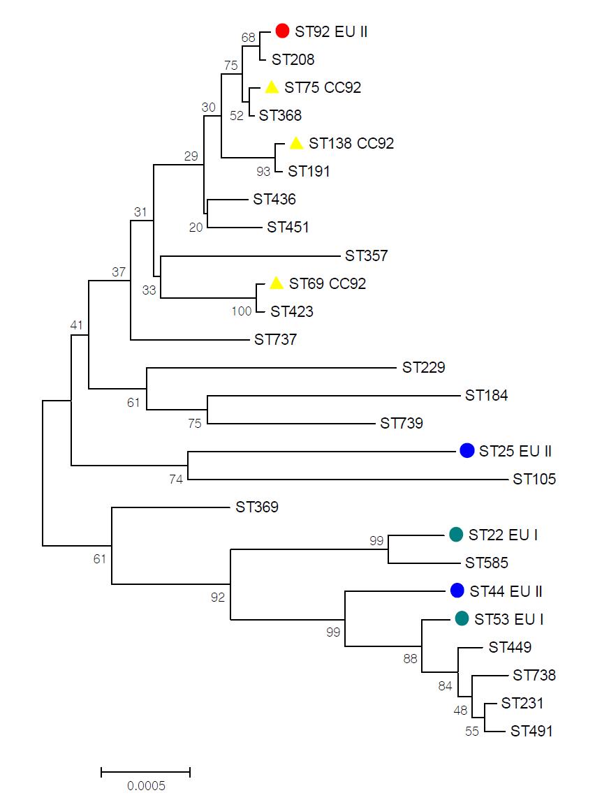 Phylogenetic tree of sequence type from Korean Acinetobacter spp.(K-ACB) isolates.