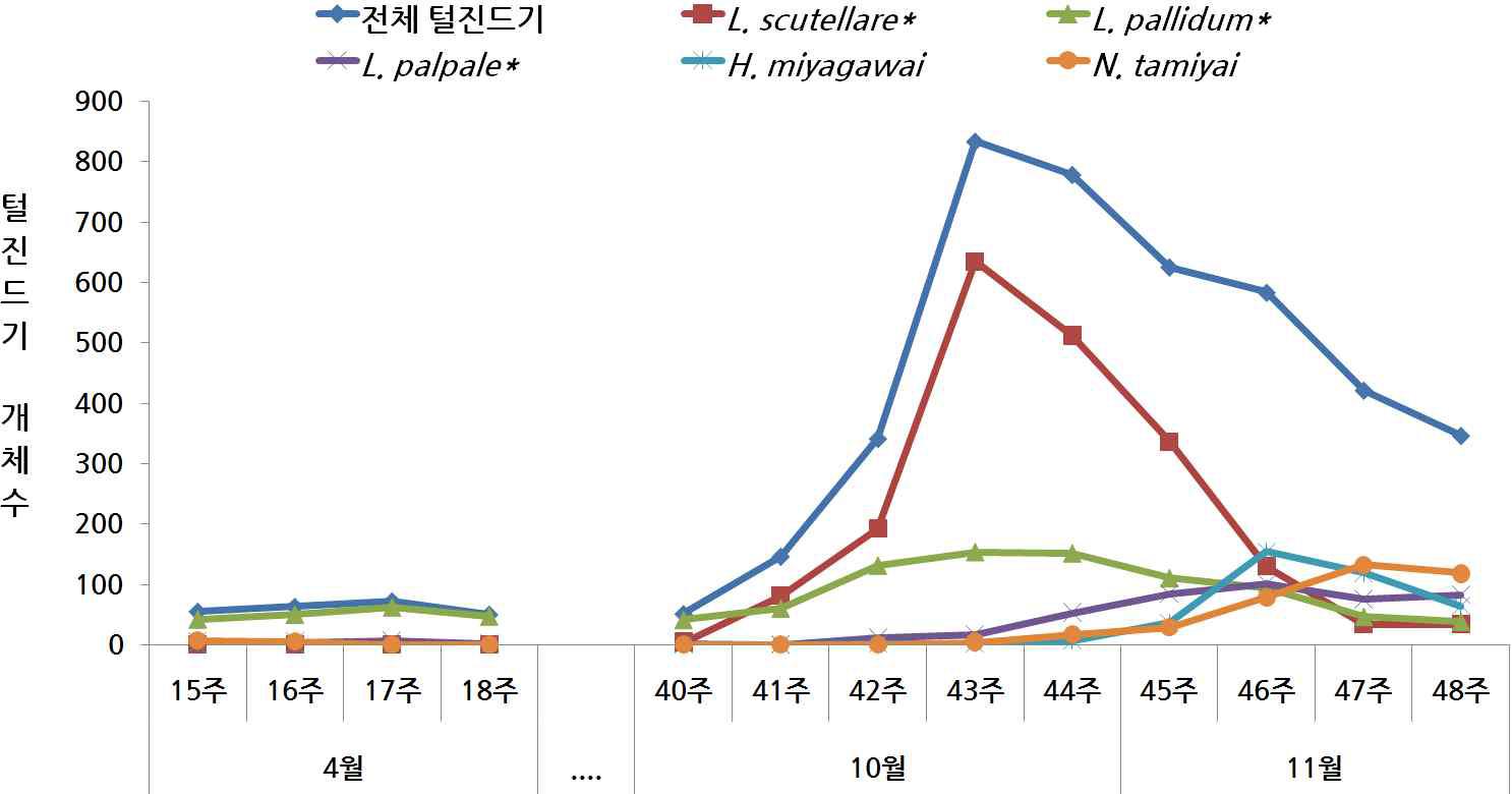 봄철 및 가을철 통합(태안, 진안, 충주) 상위 우점 털진드기 5종의 주별 변동양상(2013-2014)