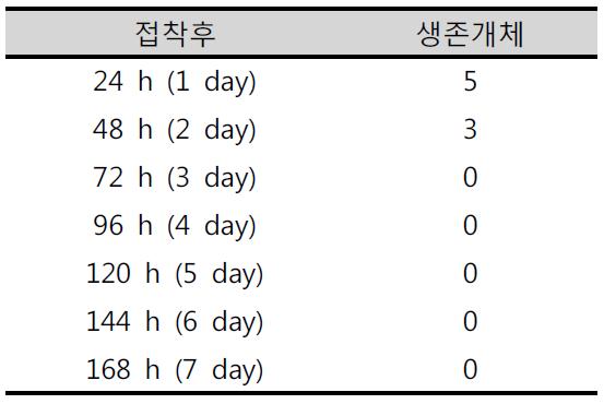 채집 털진드기 테이프 생존 실험 결과