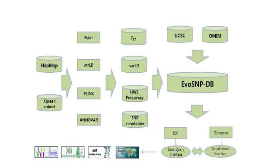 EvoSNP-DB 구축 정보