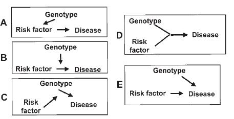 질병유발원인들(유전자-환경인자) 간의 5가지 상호작용 모델
