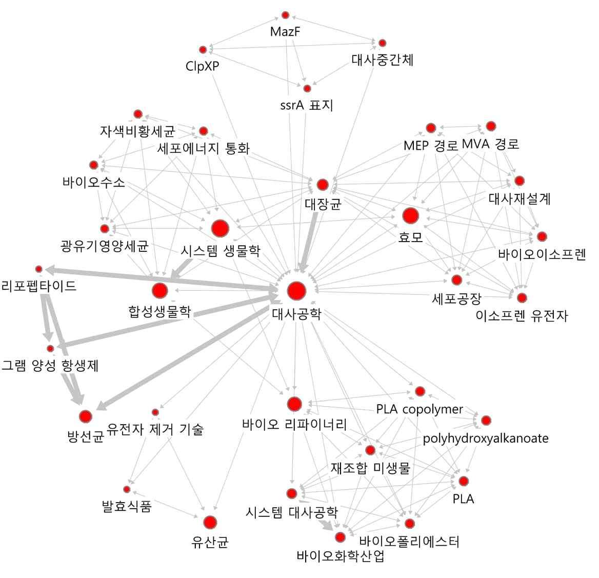 ‘대사공학’의 연결관계 키워드에 대한 Ego네트워크