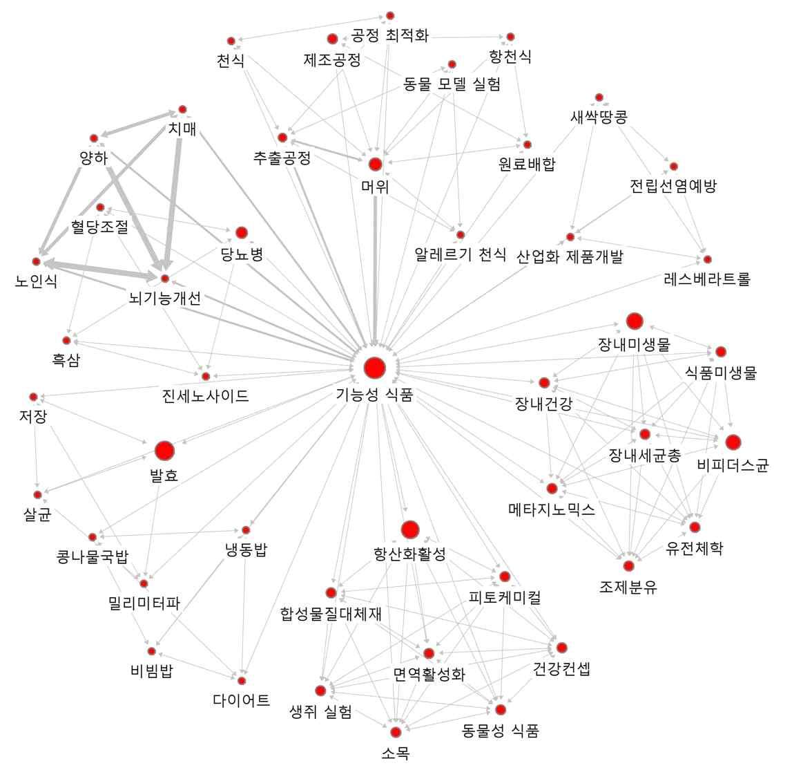 ‘기능성 식품’의 연결관계 키워드에 대한 Ego네트워크