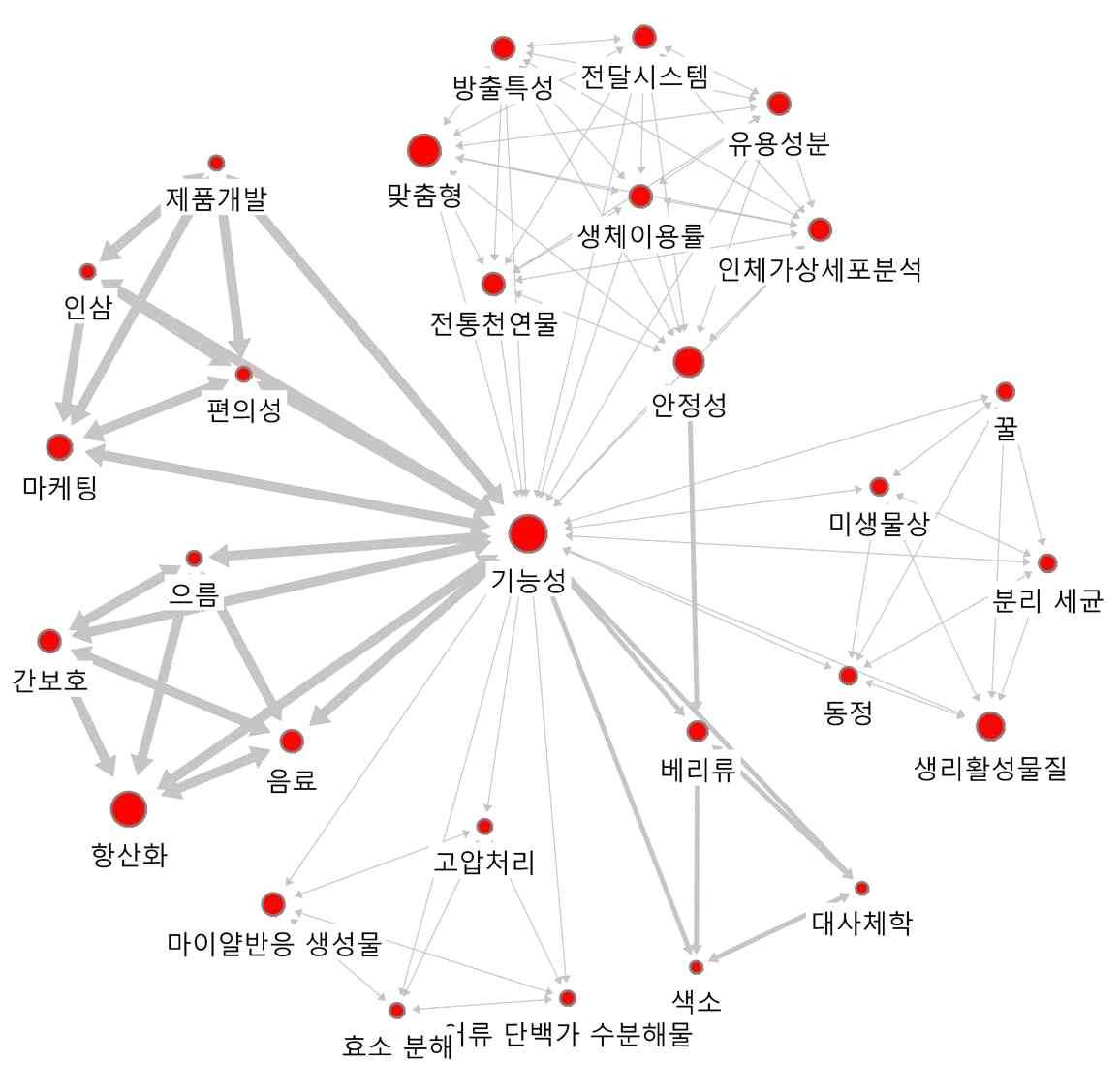 ‘기능성’의 연결관계 키워드에 대한 Ego네트워크