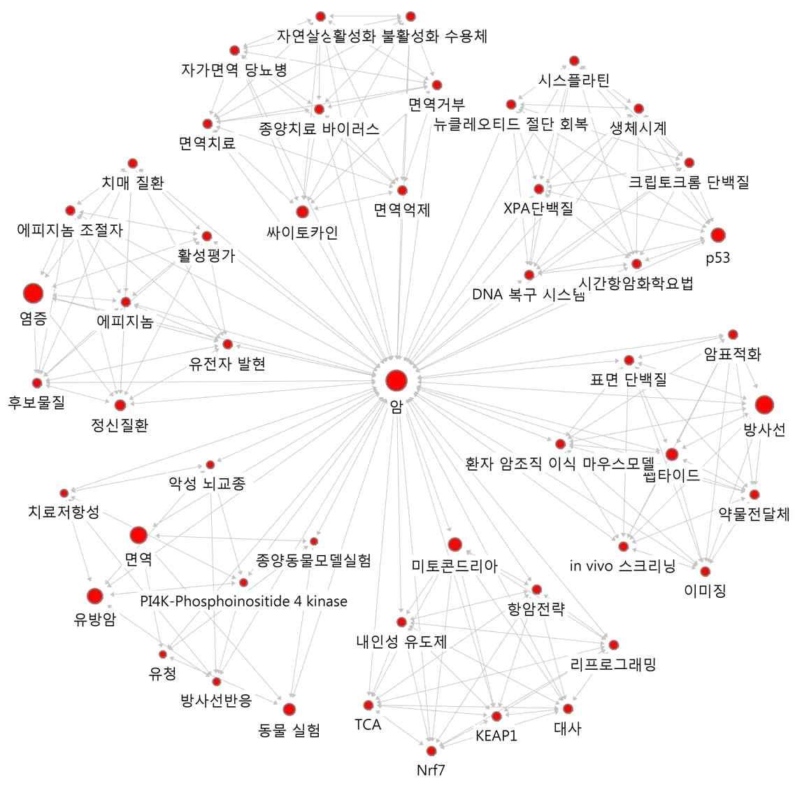 ‘암’의 연결관계 키워드에 대한 Ego네트워크