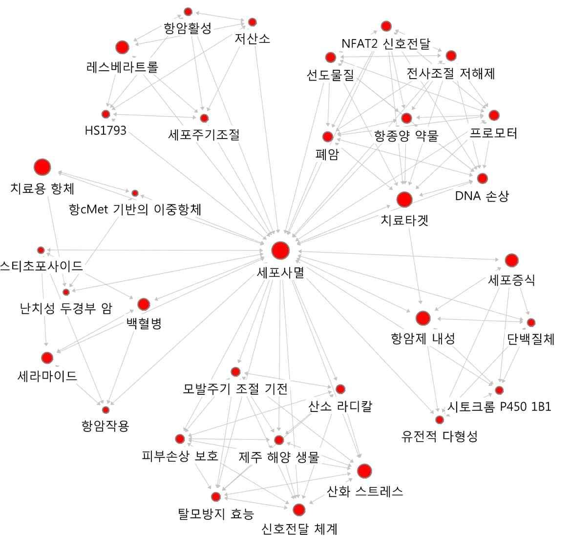 ‘세포사멸’의 연결관계 키워드에 대한 Ego네트워크