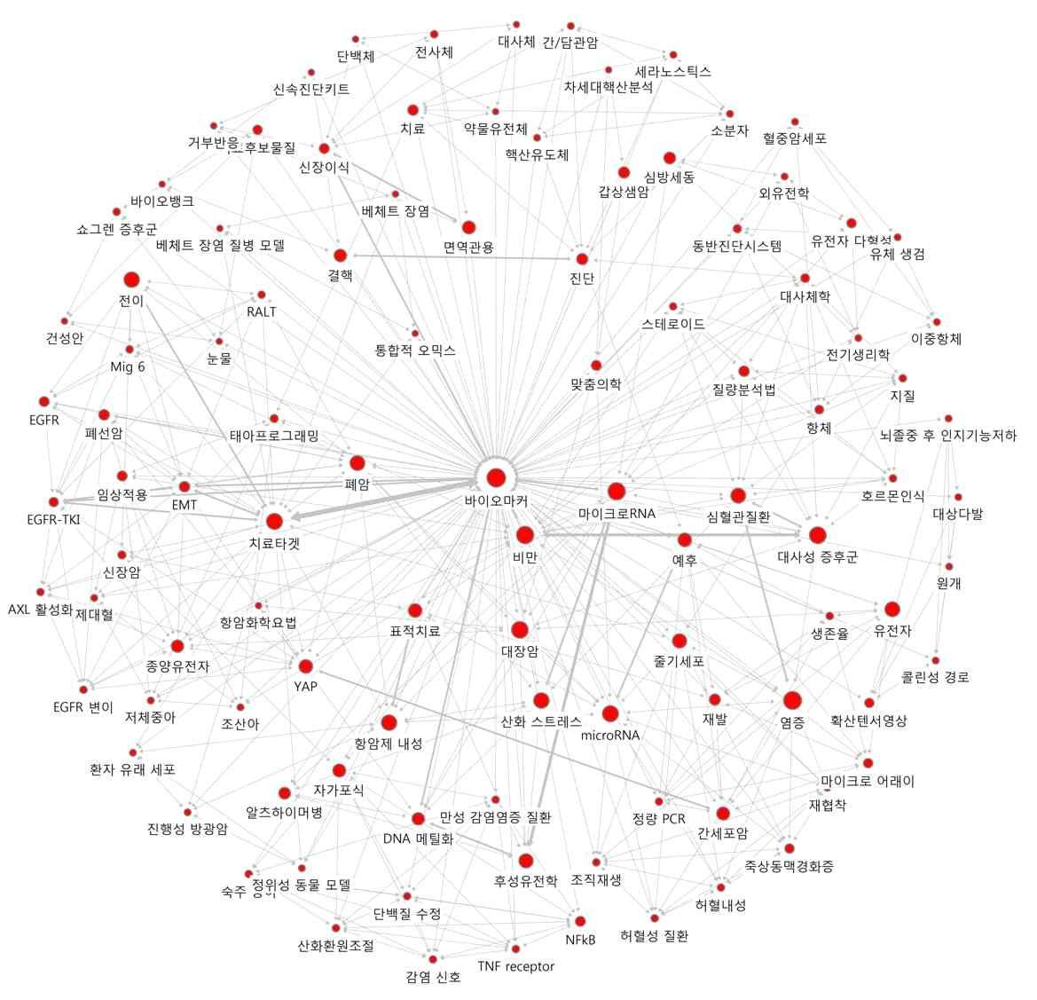 ‘바이오마커’의 연결관계 키워드에 대한 Ego네트워크